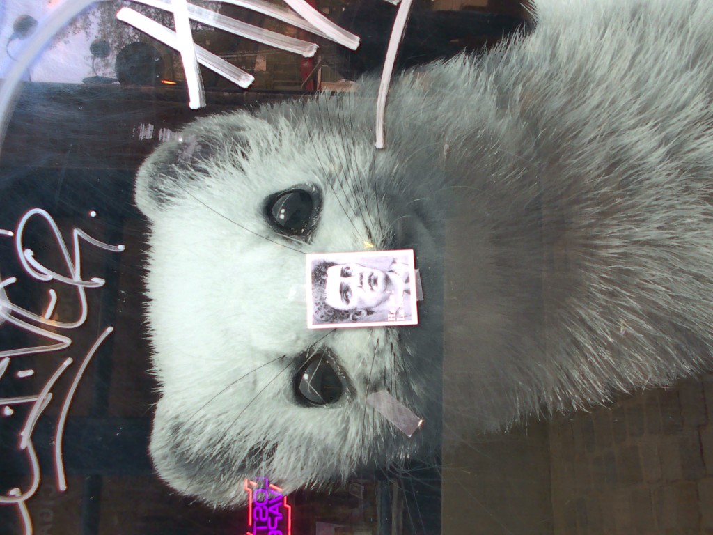 20260403_000505